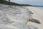 GatorPt backshore beds_06_3